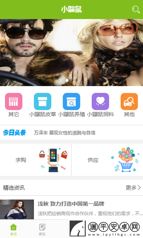 小鼴鼠